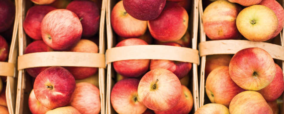 Apple Harvest - Gourmet Ontario and Quebec 