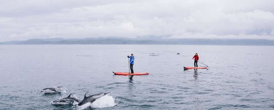 Paddleboarding at Nimmo - West Coast Canada In Style