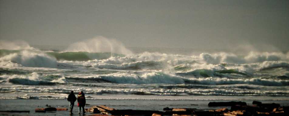 Wild Tofino - West Coast Canada In Style
