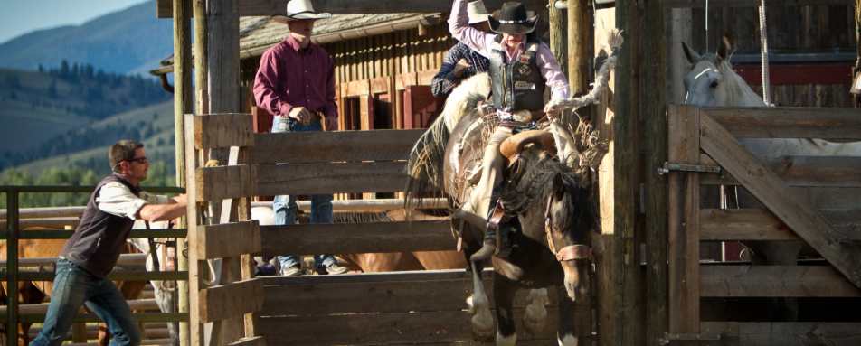 Rodeo at Rock Creek - Ultimate Western Canada & Montana