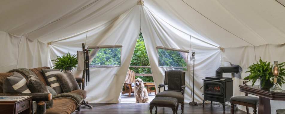 Luxury Tent at Clayoquot - Ultimate Western Canada 