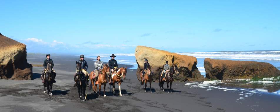 Horse trekking   - Hotel Vira Vira