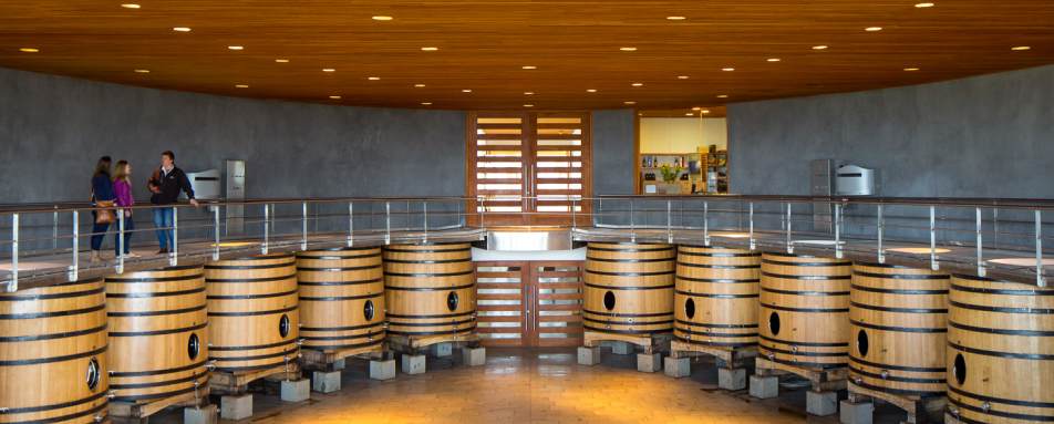 Wine cellar - Clos Apalta Residence