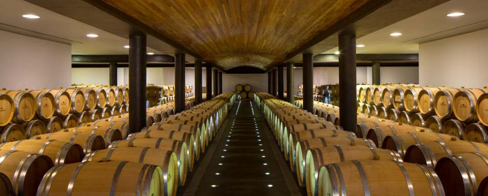 Wine Cellar - Clos Apalta Residence