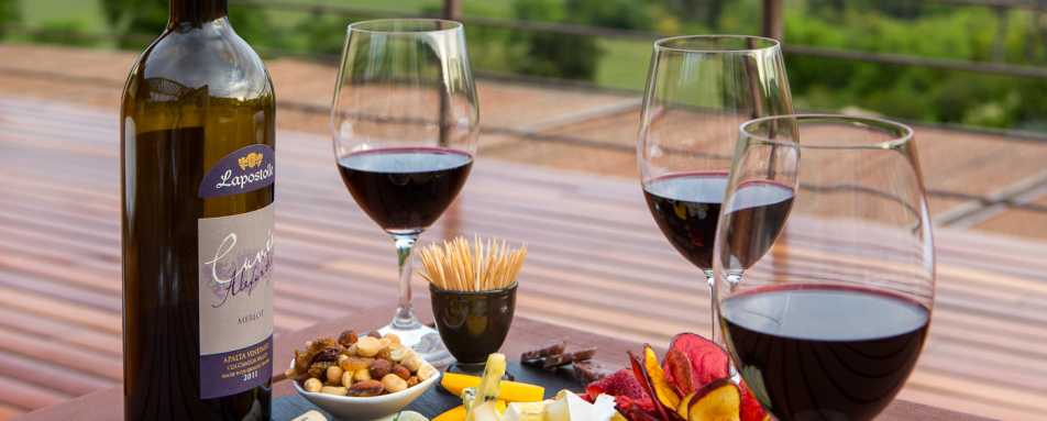 Lapostolle wine tasting - Clos Apalta Residence