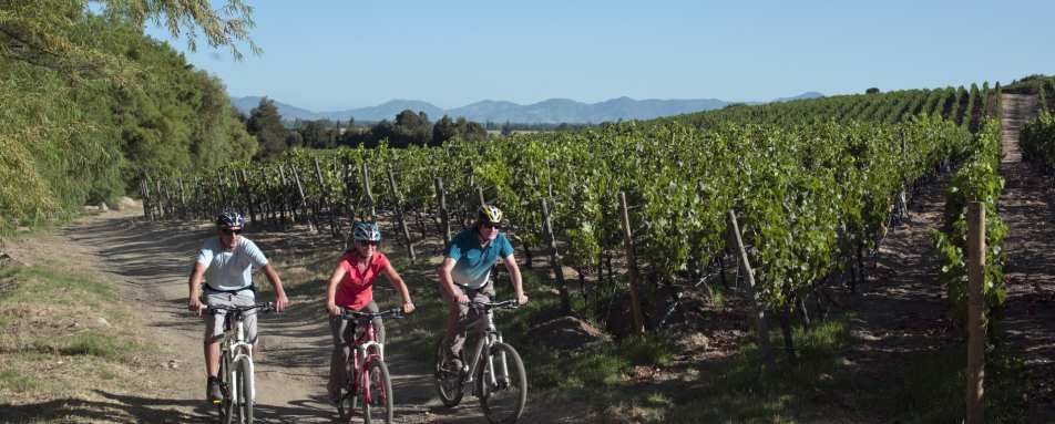 Cycling through the vineyards - Clos Apalta Residence