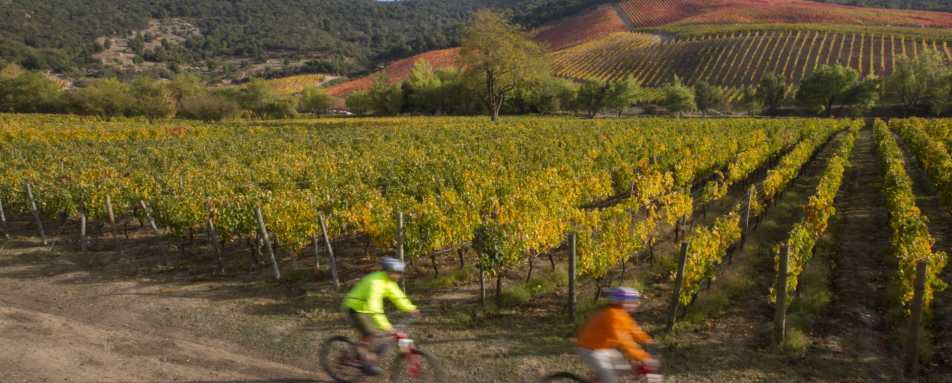 Colchagua Valley  - Clos Apalta Residence