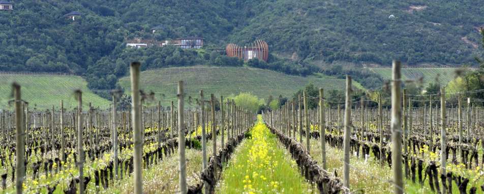 Vineyards and the Bodega - Clos Apalta Residence