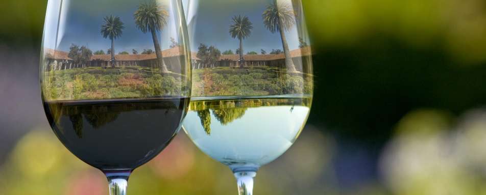 Wine glasses - La Casona at Matetic Vineyards