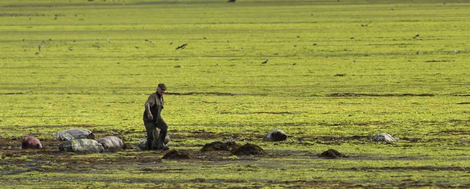 Local life - Tierra Chiloe 