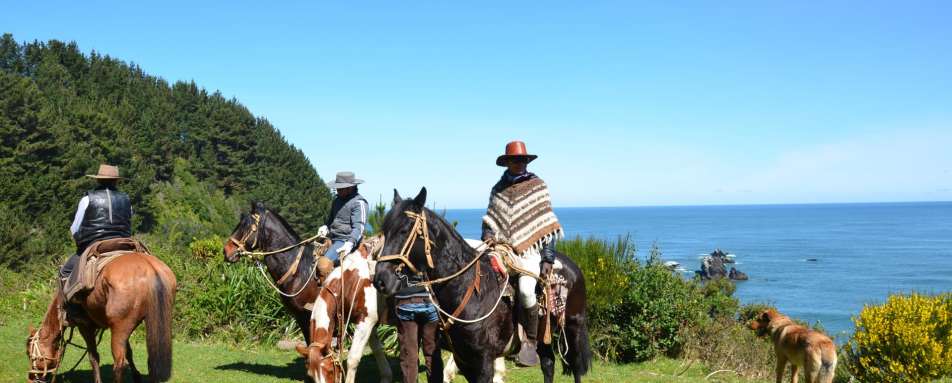 Horseback Riding at Vira Vira