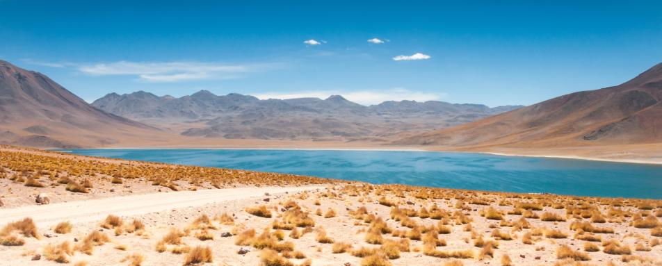 Altiplanic lagoons of the Atacama