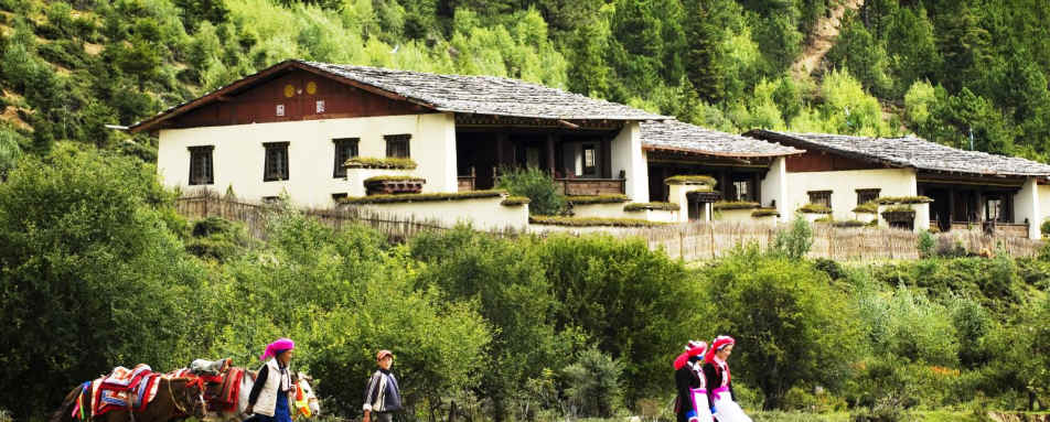 Village Life - Banyan Tree Ringha