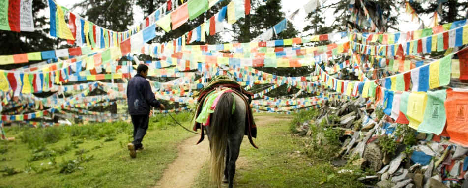 Prayer flags - Banyan Tree Ringha