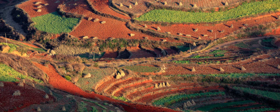 Dongchuan 