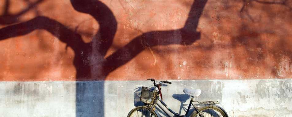 Bicycle in Beijing - 