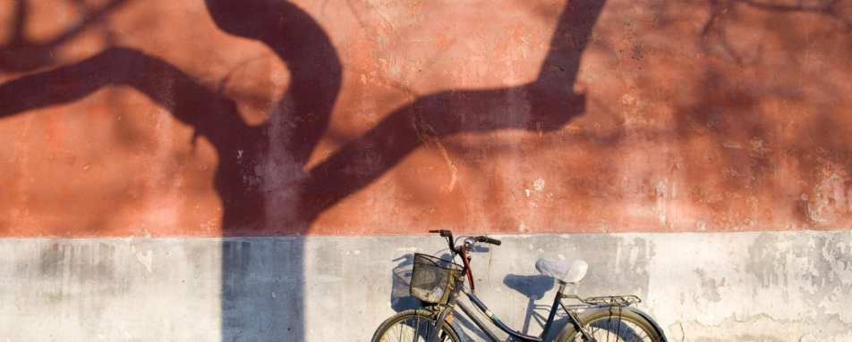 Discover the Far East