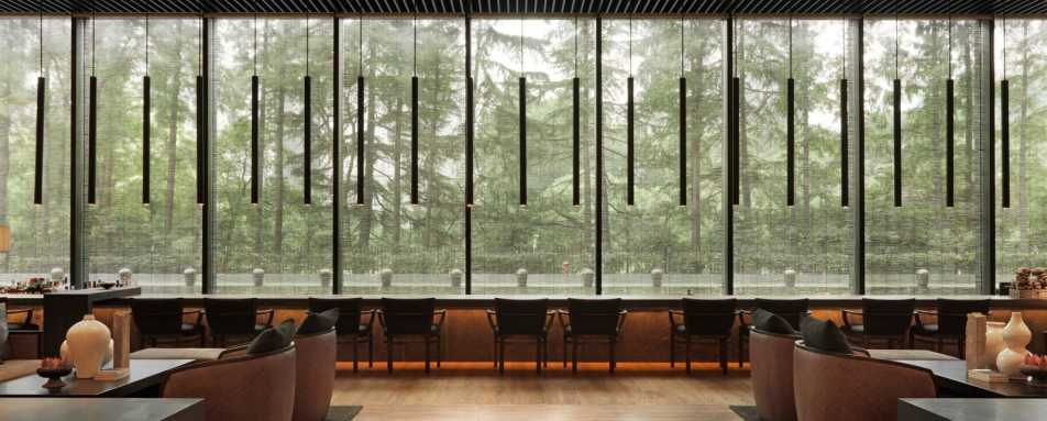 Lobby - The Puli Hotel and Spa