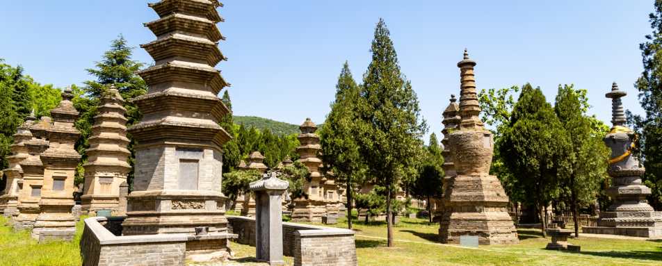 Pagoda Forest Shaolin Temple 