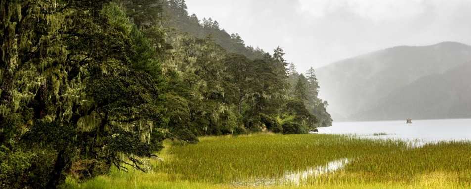 Bita Lake - Rural China