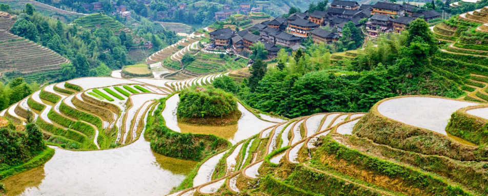 Rice Terraces in Longsheng - Rural China