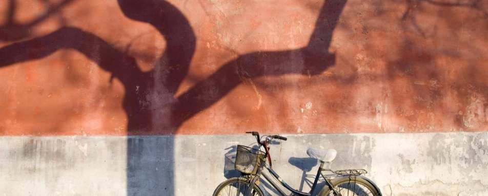 Cycling in Xian  - The Ultimate Family Adventure in China 