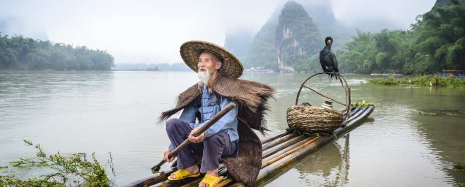 Cormorant Fishing in Guilin  - 