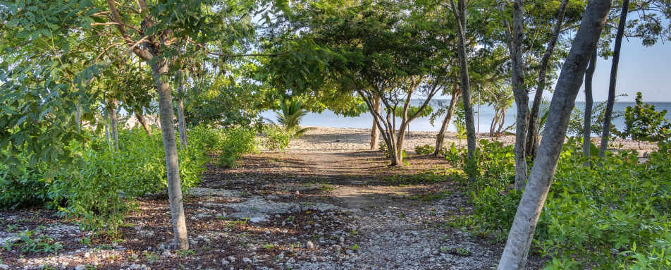 Beach Pathway - Casa Letty 