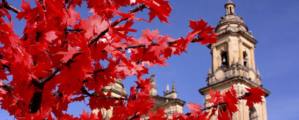 Colonial buildings - Highlights of Colombia
