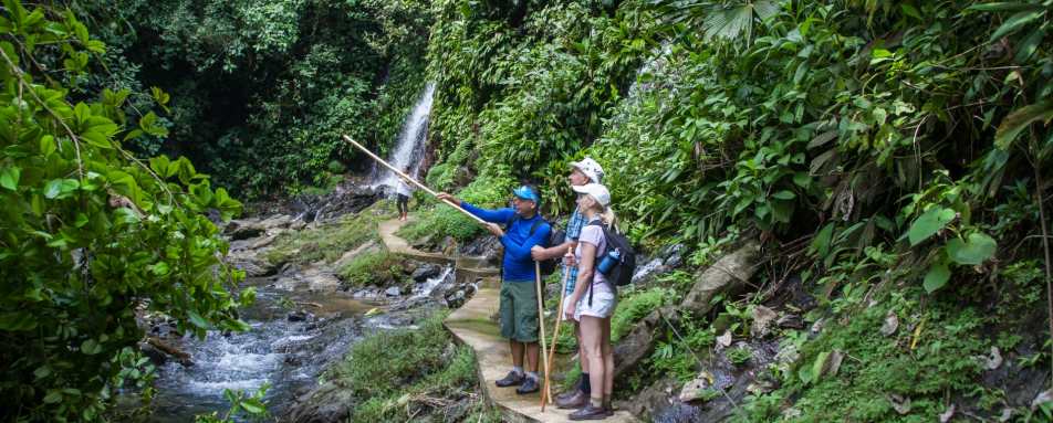 Rainforest walks - Arenas del Mar