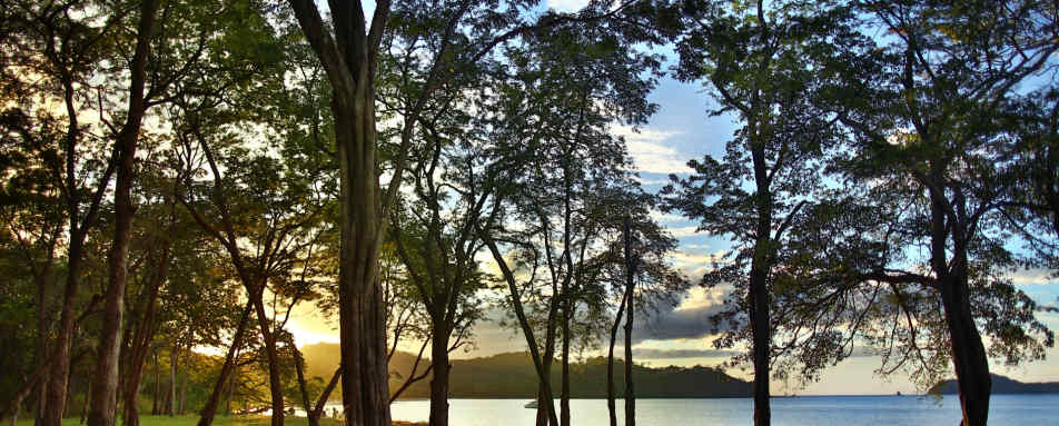 Gardens - El Mangroove 