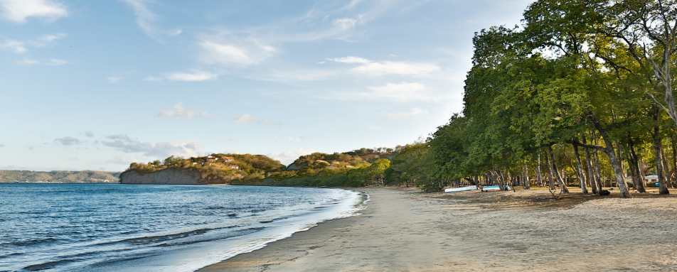 Beach - El Mangroove 