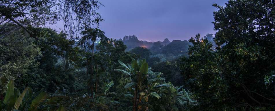 Valley views - Finca Rosa Blanca Country Inn