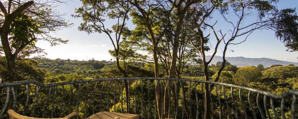 Terrace views - Finca Rosa Blanca Country Inn
