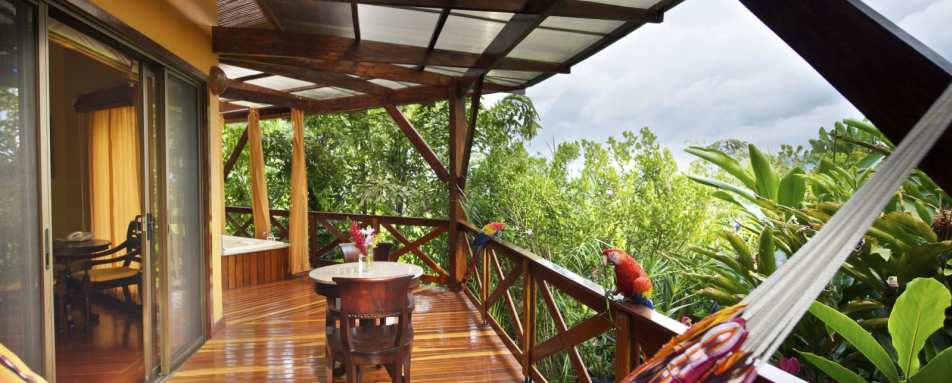 Rainforest Villa balcony with parrots   