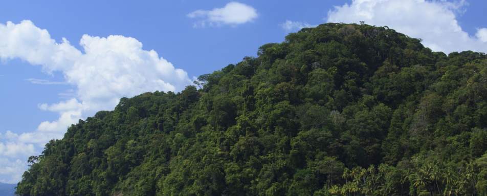 Beach - Playa Cativo