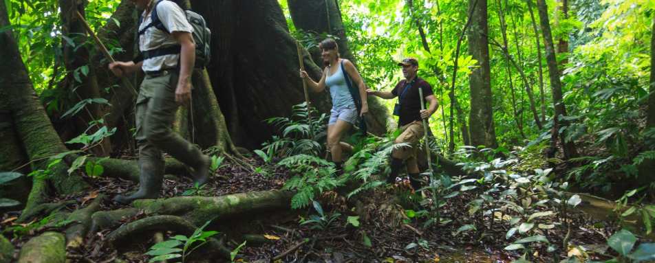 Jungle hike - Playa Cativo