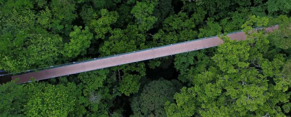 Rio Perdido Hotel - Aerial View of Bridge 