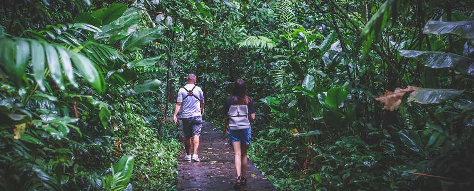 Day hike on the trails of Tortuga Lodge