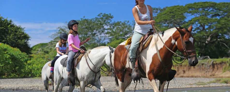 Don Tobias Horseback Riding