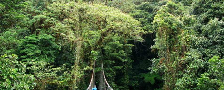 Hanging Bridges Tour