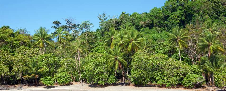 Extraordinary Costa Rica 