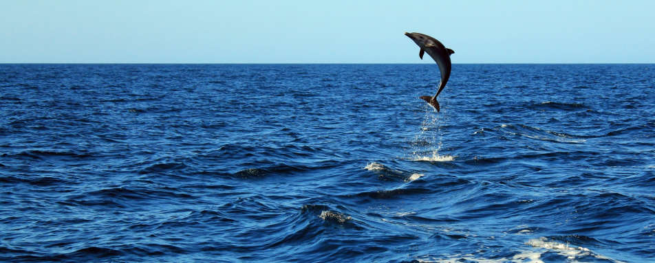 Extraordinary Costa Rica 