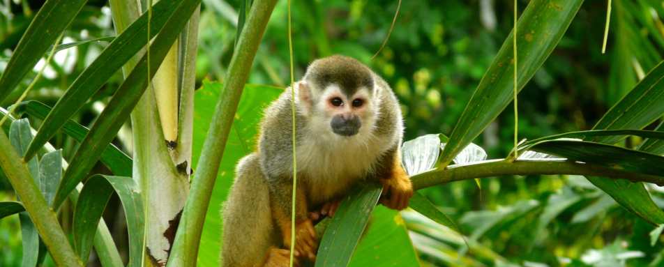 Extraordinary Costa Rica 