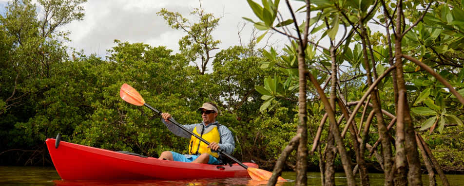 Kayak through Mangroves - Costa Rica for Teenagers