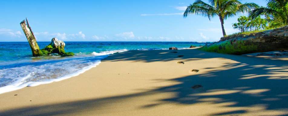 Beach bliss - Wild Costa Rica