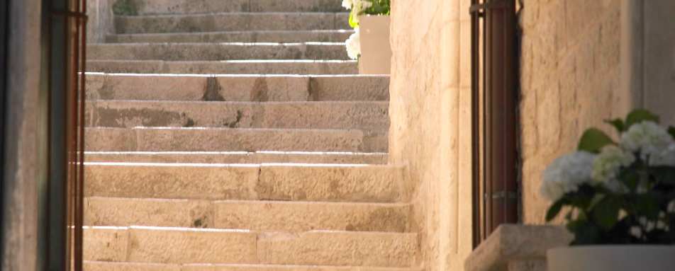 Lesic Dimitri Palace