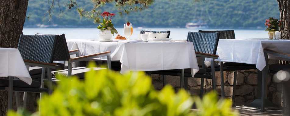 Lesic Dimitri Palace