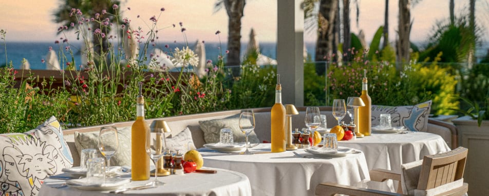 LPM - Outdoor Terrace  