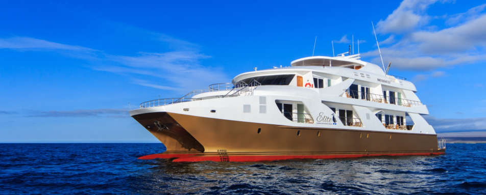 Elite catamaran exterior 